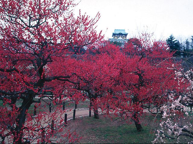 3月の見どころは･･･イメージ